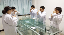 房車環保避坑指南，帶你漲知識啦！